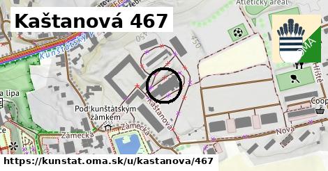 Kaštanová 467, Kunštát