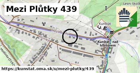 Mezi Plůtky 439, Kunštát