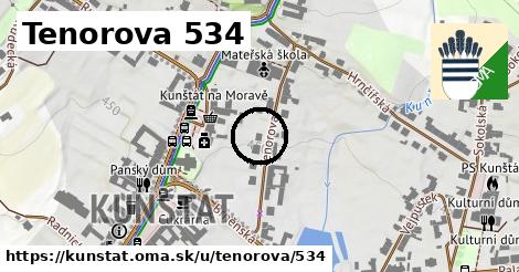 Tenorova 534, Kunštát