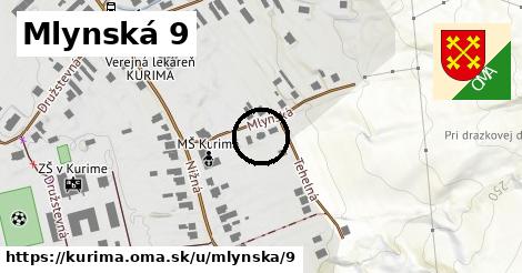 Mlynská 9, Kurima