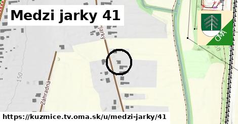 Medzi jarky 41, Kuzmice, okres TV