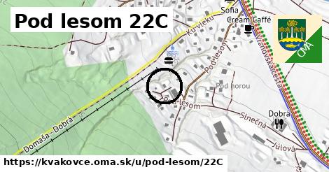 Pod lesom 22C, Kvakovce
