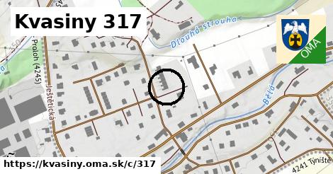 Kvasiny <span class="supisne">317</span>