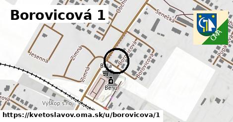 Borovicová 1, Kvetoslavov