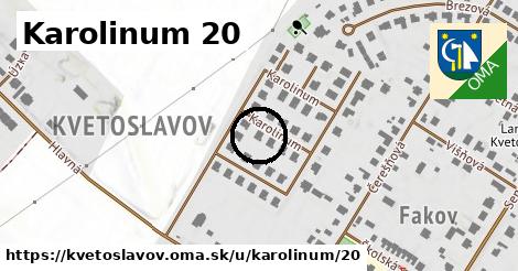 Karolinum 20, Kvetoslavov