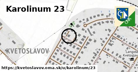 Karolinum 23, Kvetoslavov