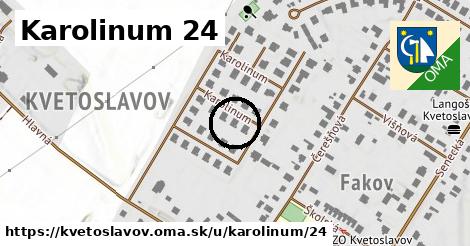 Karolinum 24, Kvetoslavov