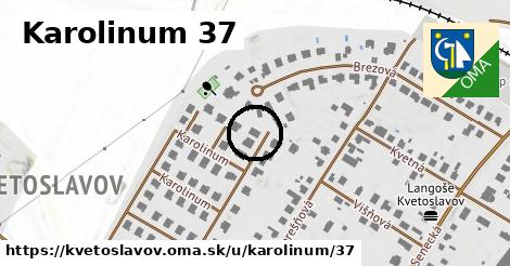 Karolinum 37, Kvetoslavov