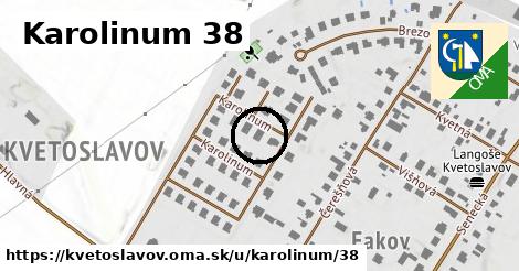 Karolinum 38, Kvetoslavov