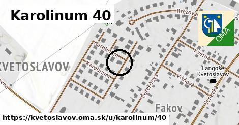 Karolinum 40, Kvetoslavov