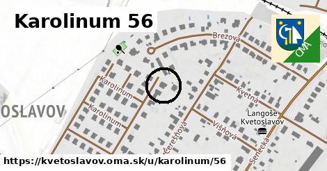 Karolinum 56, Kvetoslavov