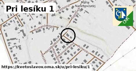 Pri lesíku 1, Kvetoslavov