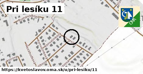 Pri lesíku 11, Kvetoslavov