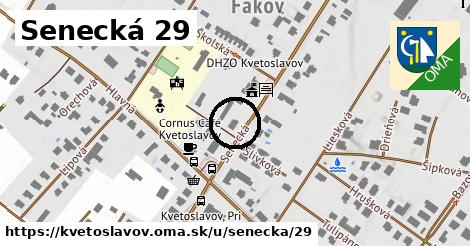 Senecká 29, Kvetoslavov