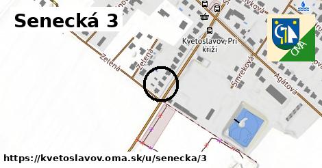 Senecká 3, Kvetoslavov