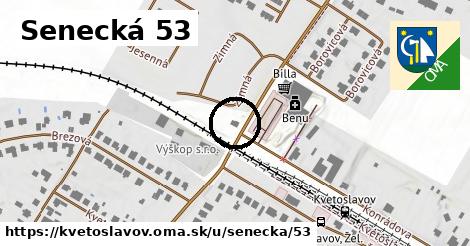 Senecká 53, Kvetoslavov