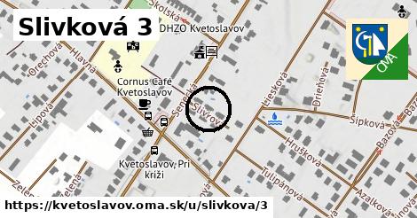 Slivková 3, Kvetoslavov