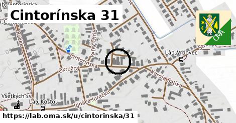 Cintorínska 31, Láb