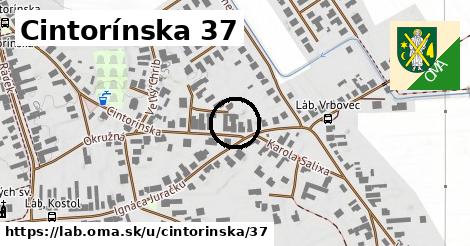 Cintorínska 37, Láb