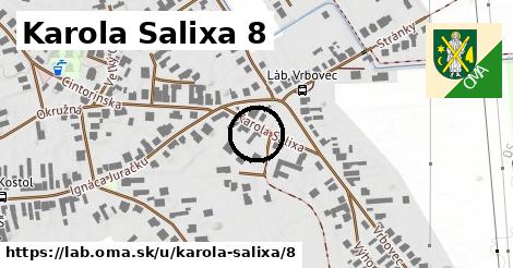 Karola Salixa 8, Láb