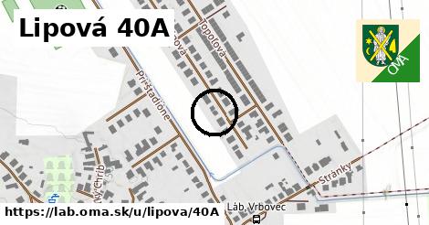 Lipová 40A, Láb