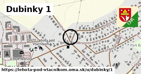 Dubinky 1, Lehota pod Vtáčnikom