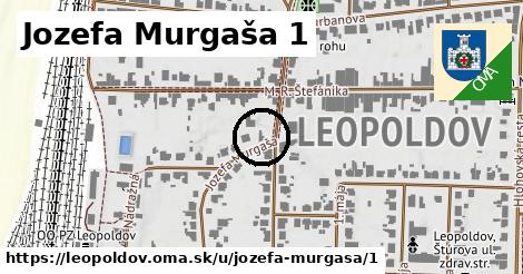 Jozefa Murgaša 1, Leopoldov