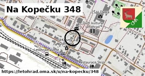 Na Kopečku 348, Letohrad