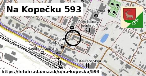 Na Kopečku 593, Letohrad