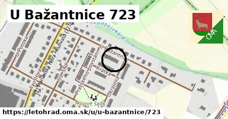 U Bažantnice 723, Letohrad