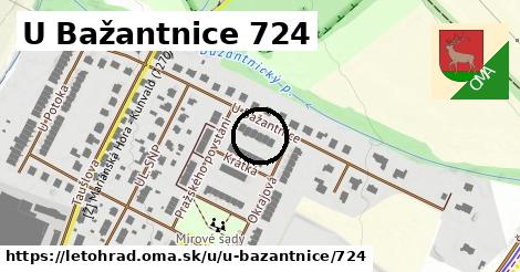 U Bažantnice 724, Letohrad