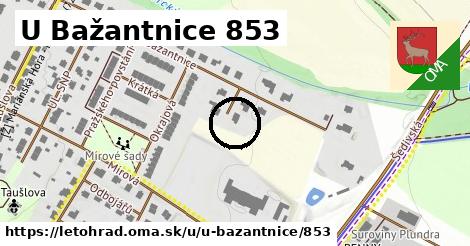 U Bažantnice 853, Letohrad