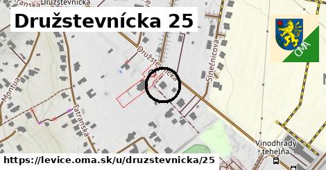 Družstevnícka 25, Levice