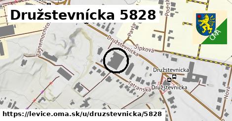 Družstevnícka 5828, Levice