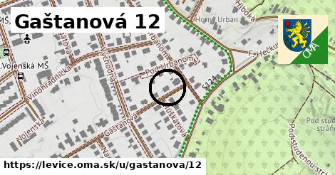 Gaštanová 12, Levice