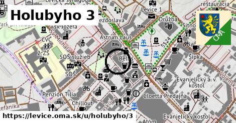 Holubyho 3, Levice