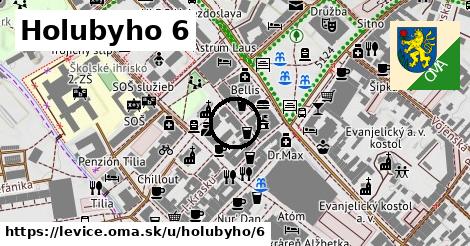 Holubyho 6, Levice