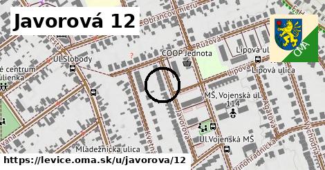 Javorová 12, Levice