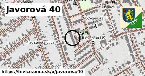 Javorová 40, Levice