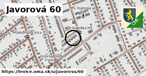 Javorová 60, Levice