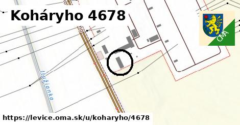 Koháryho 4678, Levice