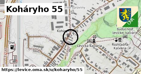 Koháryho 55, Levice