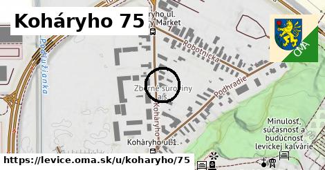 Koháryho 75, Levice