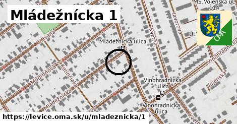 Mládežnícka 1, Levice