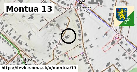 Montua 13, Levice