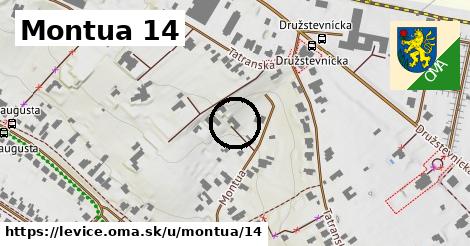 Montua 14, Levice