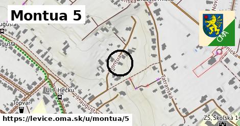 Montua 5, Levice