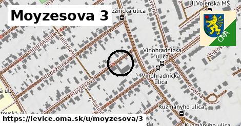 Moyzesova 3, Levice