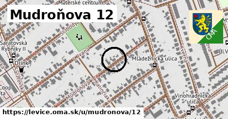 Mudroňova 12, Levice