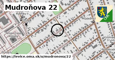 Mudroňova 22, Levice